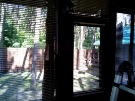 рольшторы фотография