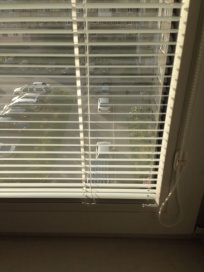 рольшторы фото