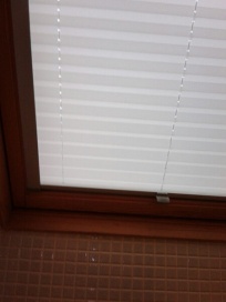 жалюзи плиссе фото