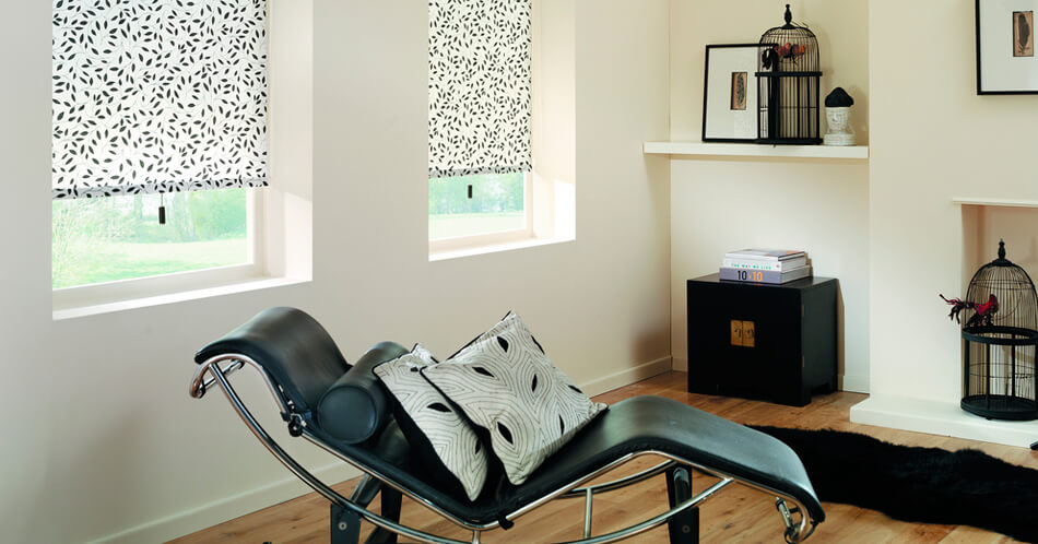 Рольшторы Могилев